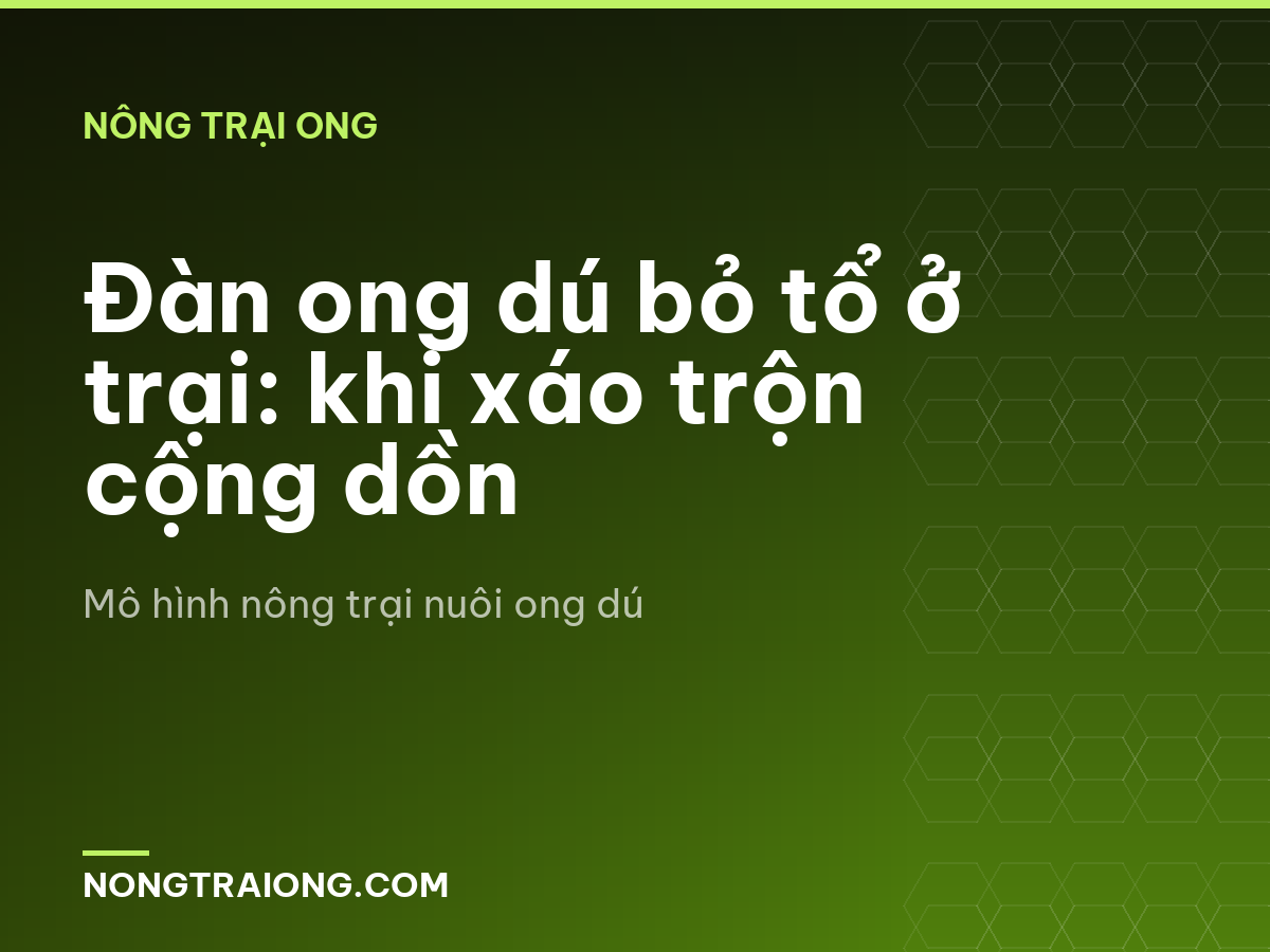 Đàn ong dú bỏ tổ ở trại: khi xáo trộn cộng dồn