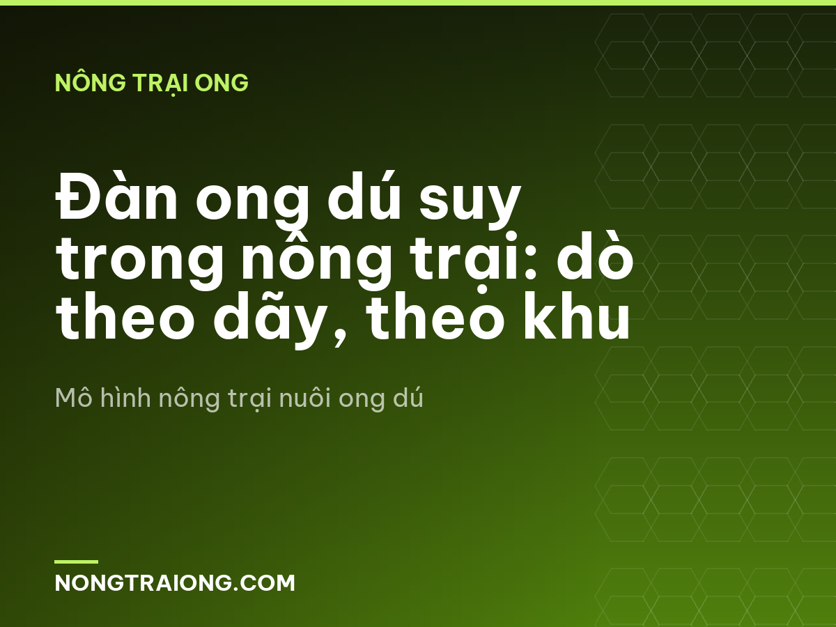 Đàn ong dú suy trong nông trại: dò theo dãy, theo khu
