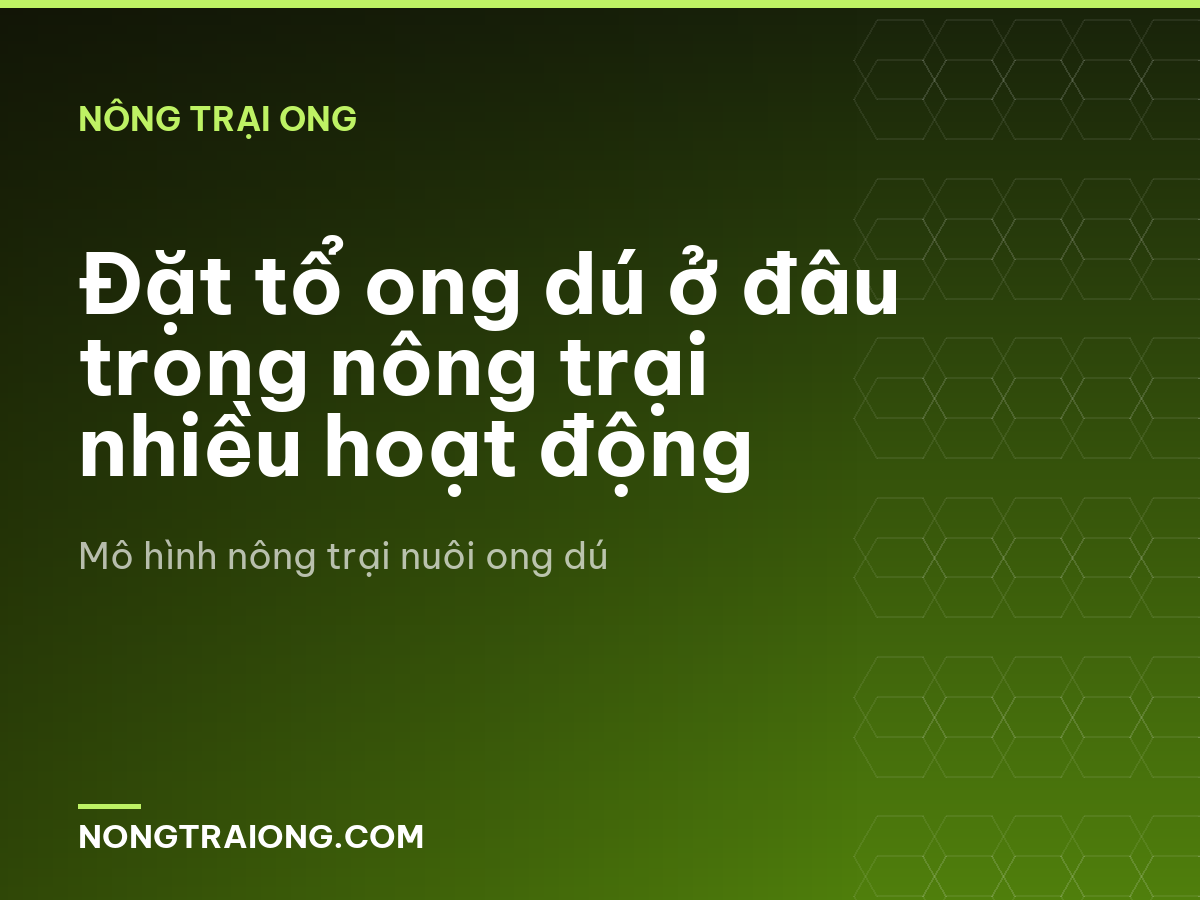 Đặt tổ ong dú ở đâu trong nông trại nhiều hoạt động