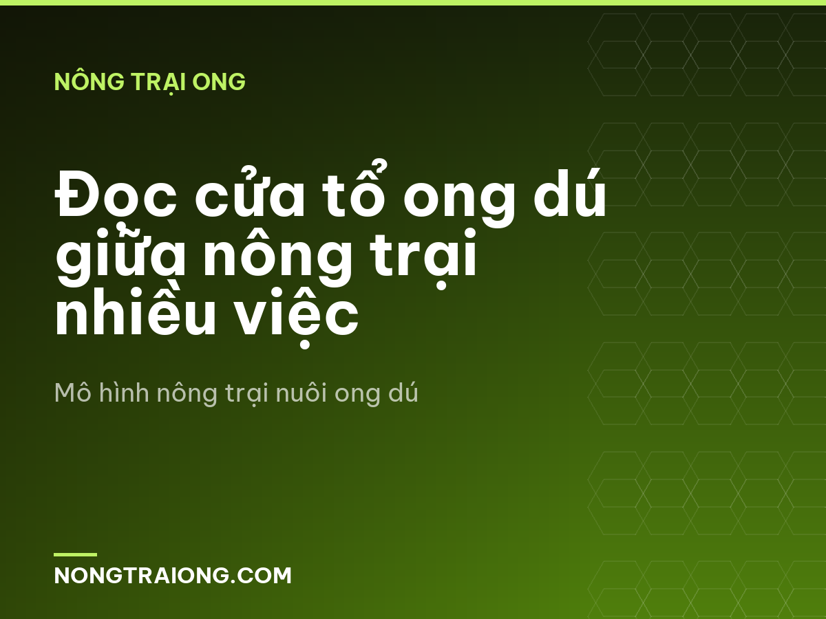Đọc cửa tổ ong dú giữa nông trại nhiều việc