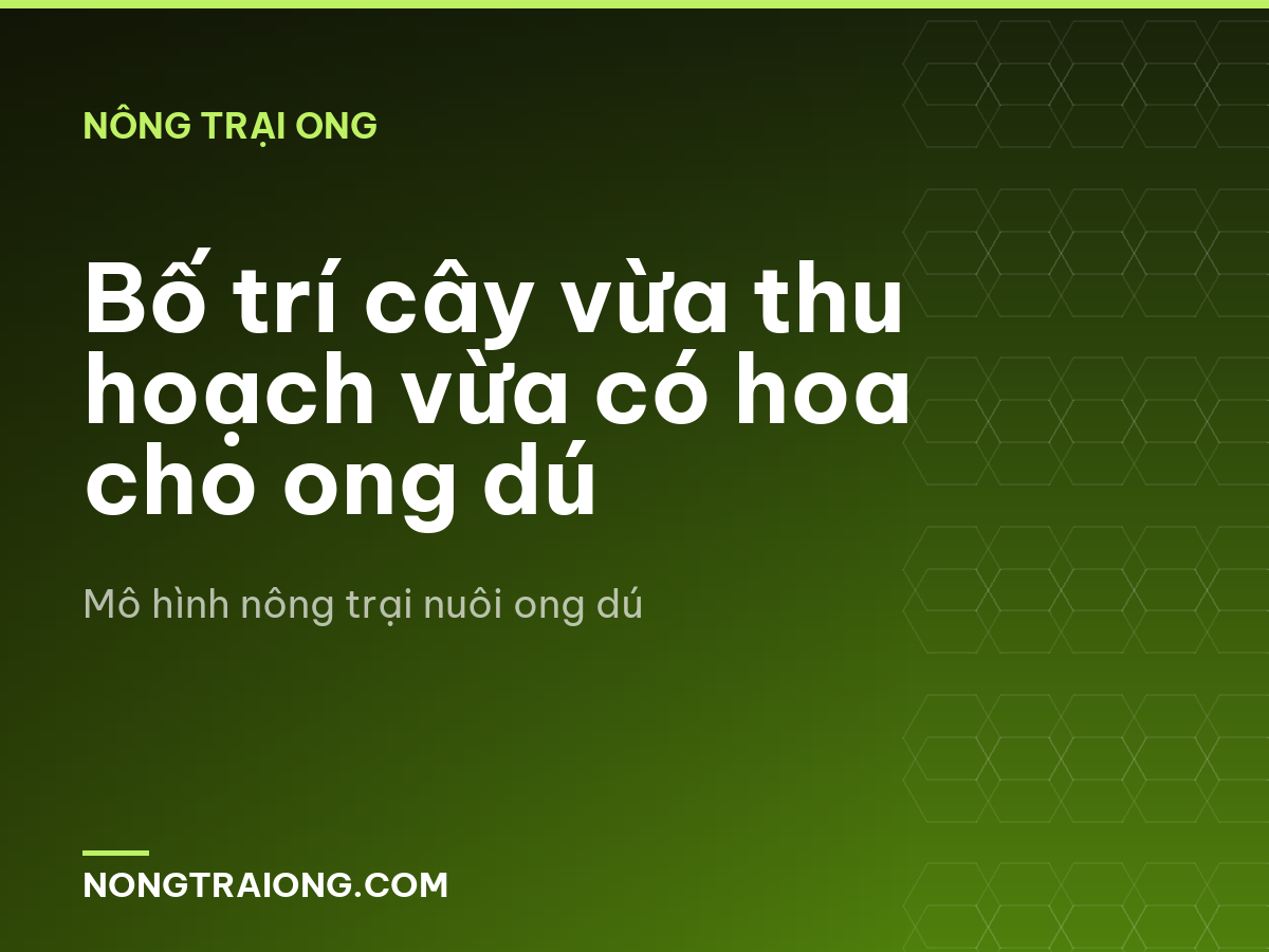 Bố trí cây vừa thu hoạch vừa có hoa cho ong dú