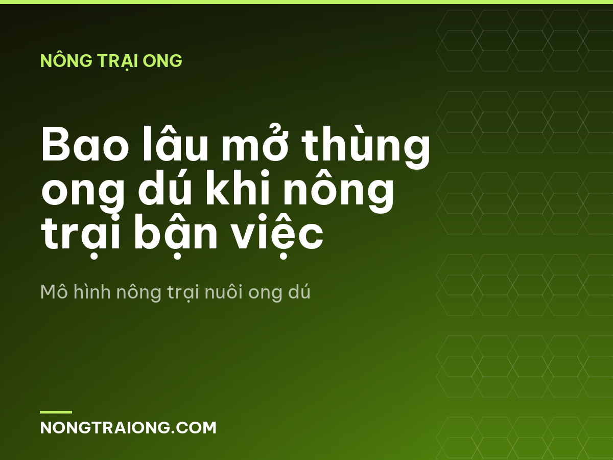 Bao lâu mở thùng ong dú khi nông trại bận việc