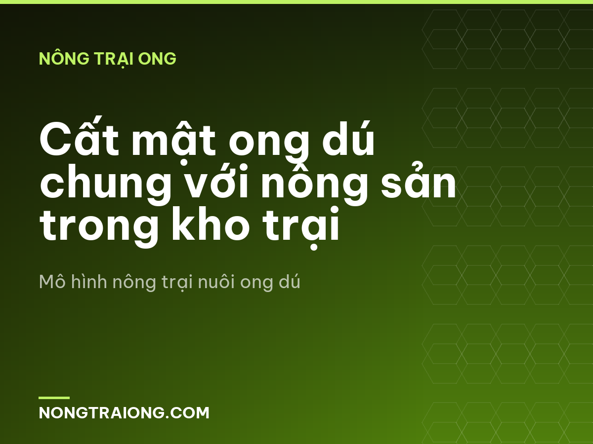 Cất mật ong dú chung với nông sản trong kho trại