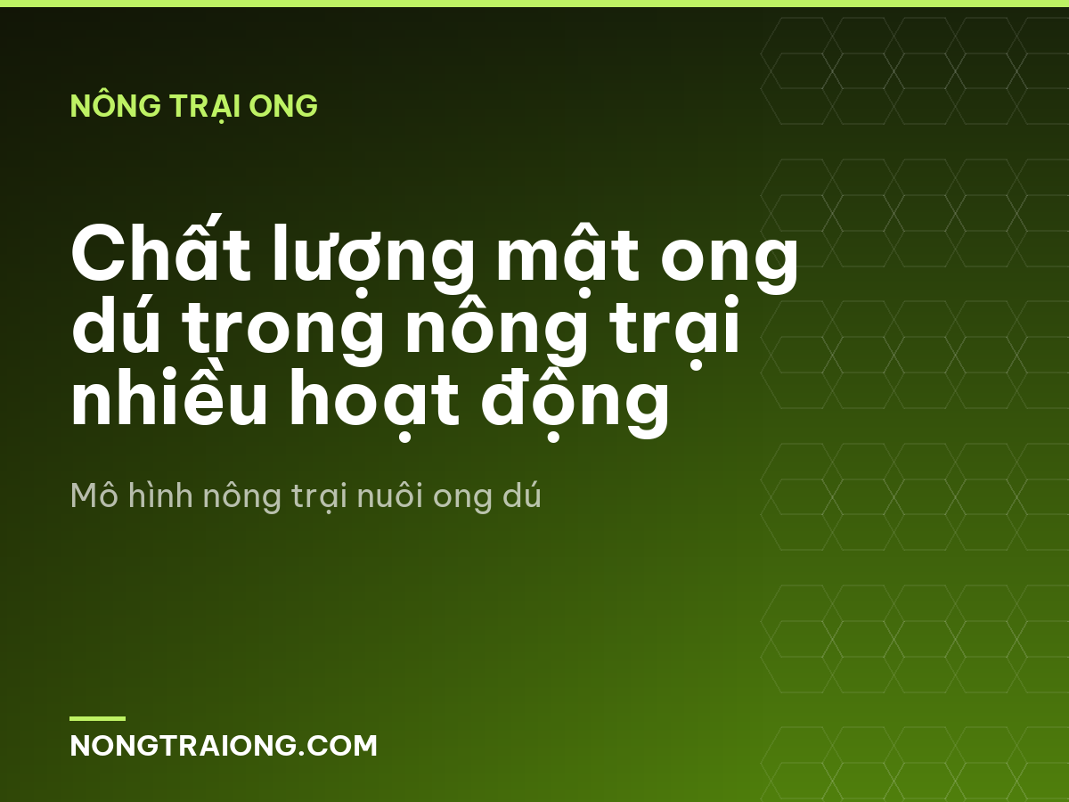 Chất lượng mật ong dú trong nông trại nhiều hoạt động