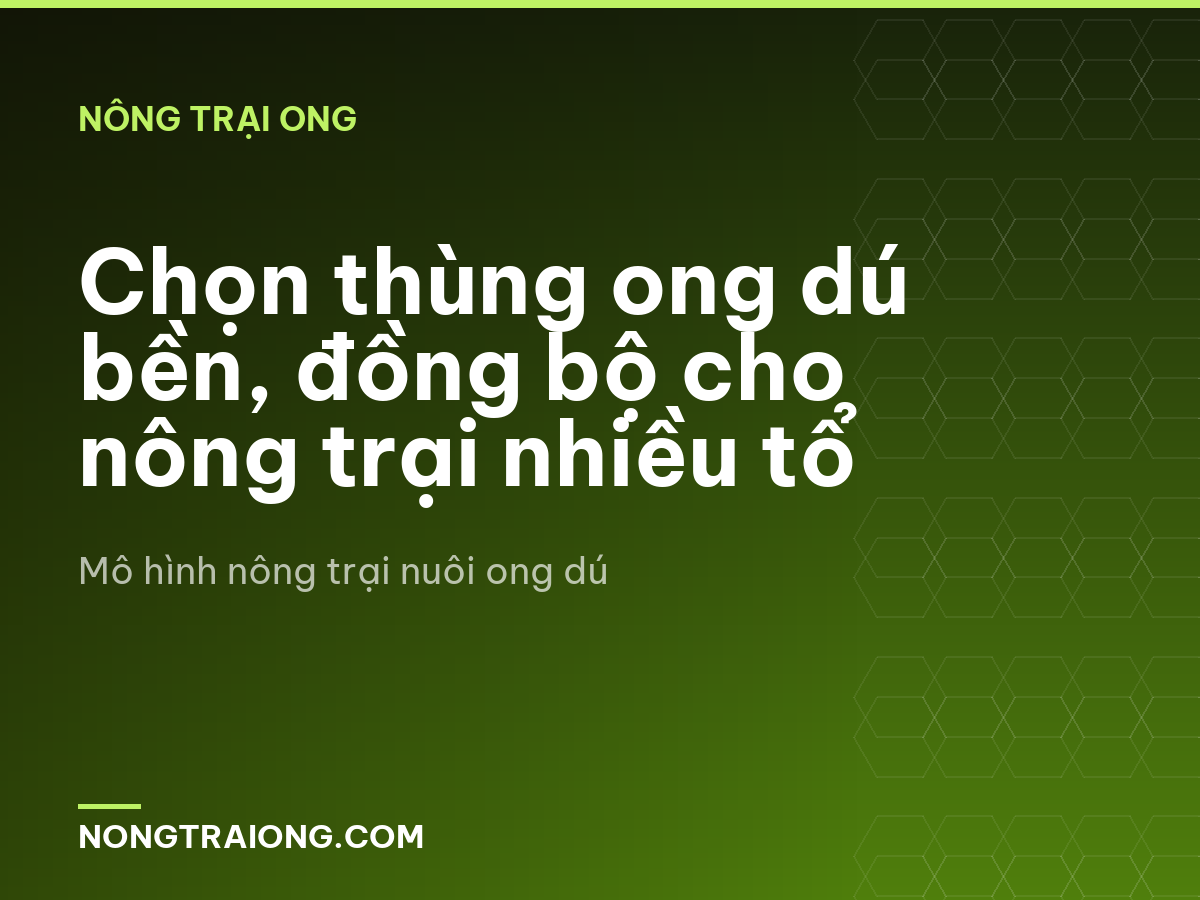 Chọn thùng ong dú bền, đồng bộ cho nông trại nhiều tổ