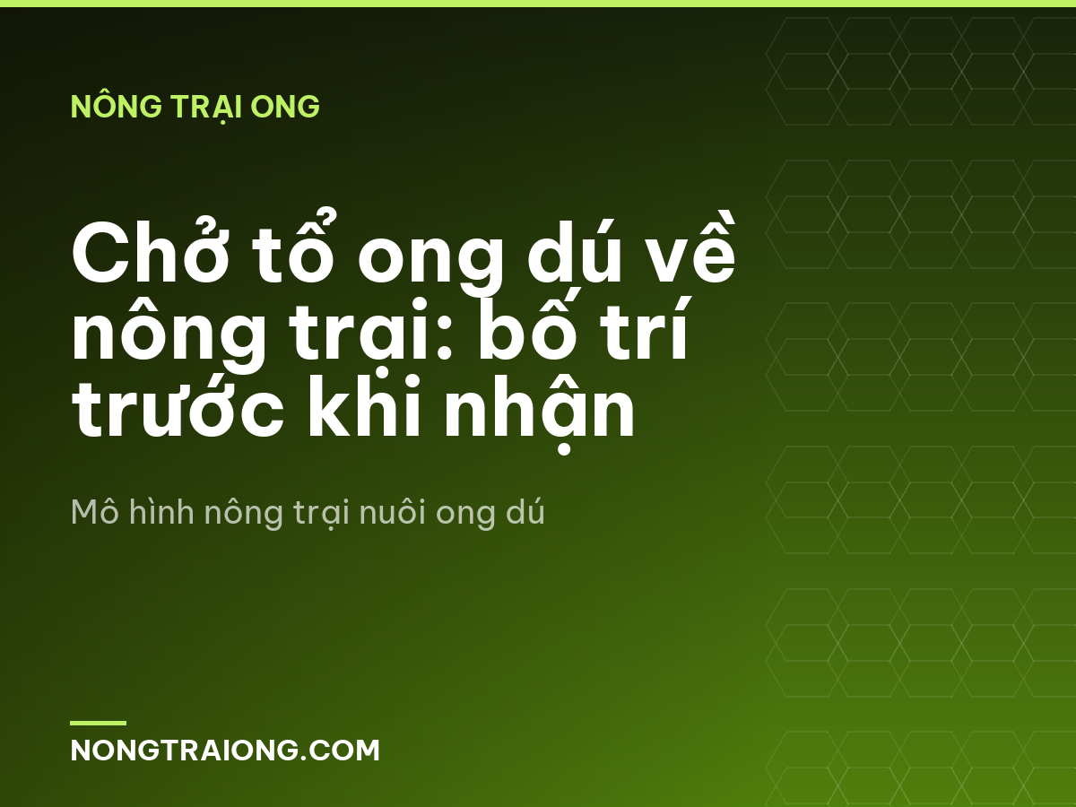 Chở tổ ong dú về nông trại: bố trí trước khi nhận