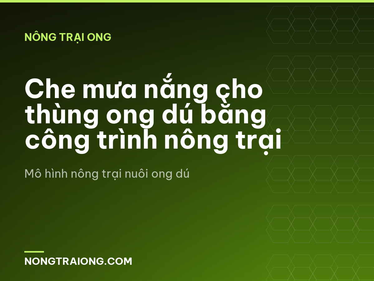 Che mưa nắng cho thùng ong dú bằng công trình nông trại