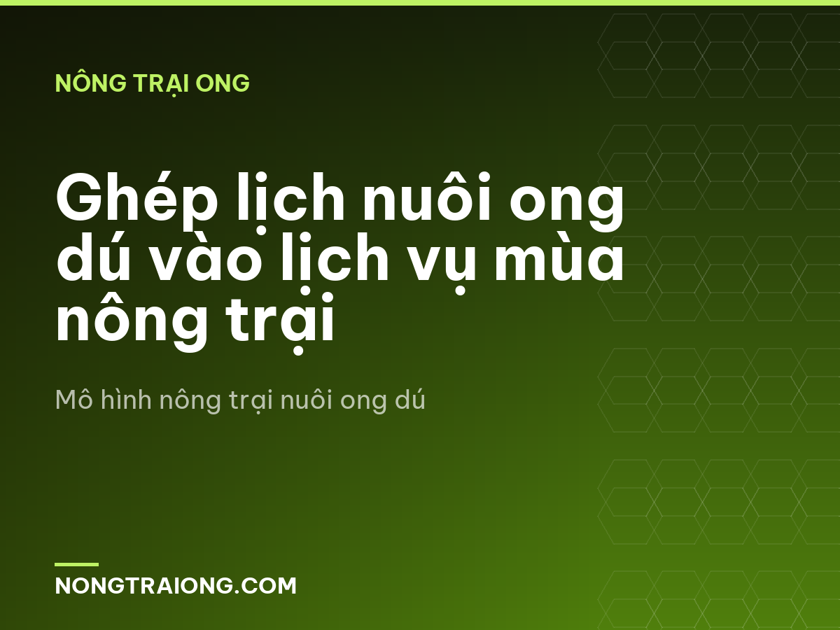 Ghép lịch nuôi ong dú vào lịch vụ mùa nông trại