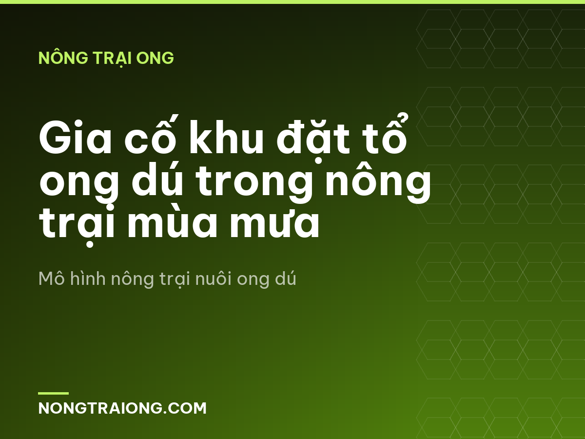 Gia cố khu đặt tổ ong dú trong nông trại mùa mưa