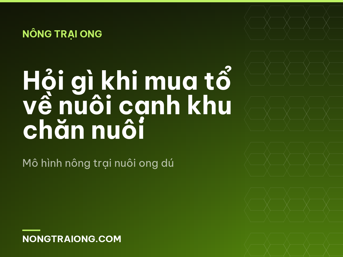 Hỏi gì khi mua tổ về nuôi cạnh khu chăn nuôi