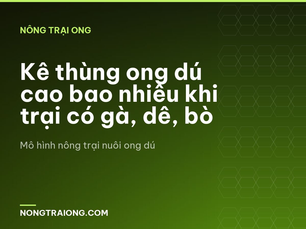 Kê thùng ong dú cao bao nhiêu khi trại có gà, dê, bò