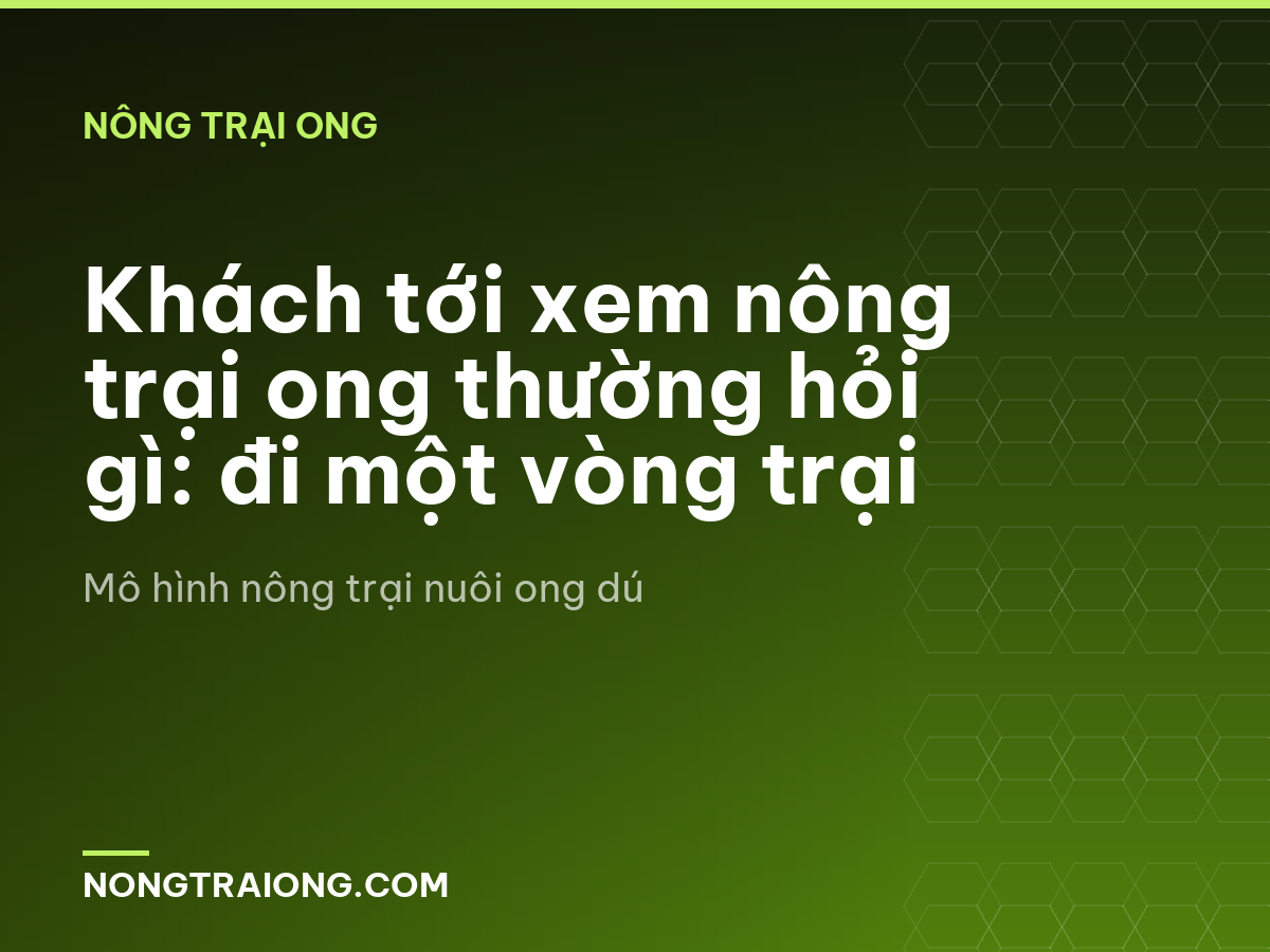 Khách tới xem nông trại ong thường hỏi gì: đi một vòng trại