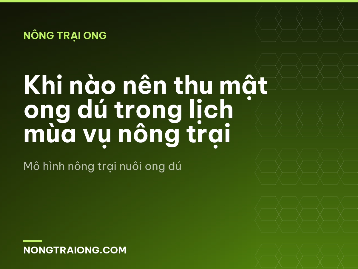 Khi nào nên thu mật ong dú trong lịch mùa vụ nông trại