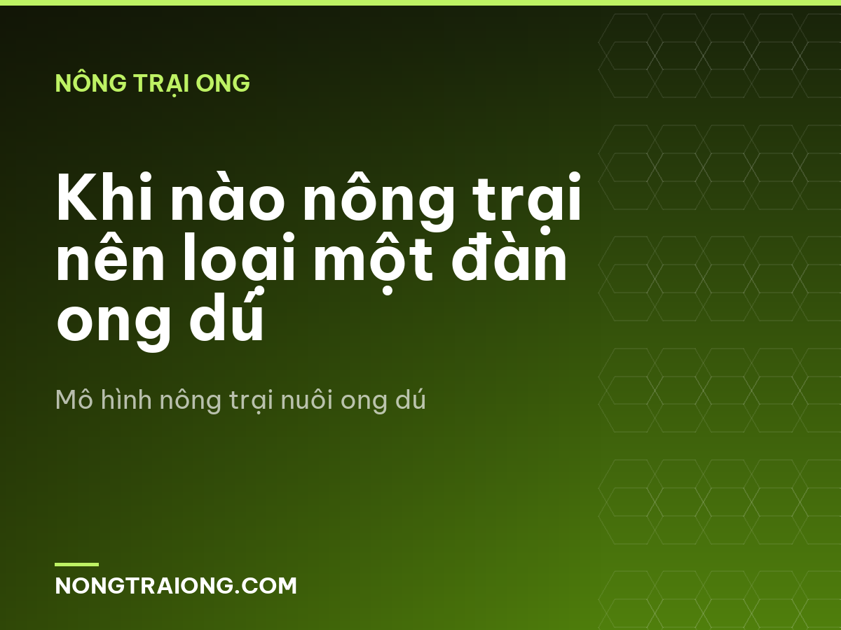 Khi nào nông trại nên loại một đàn ong dú
