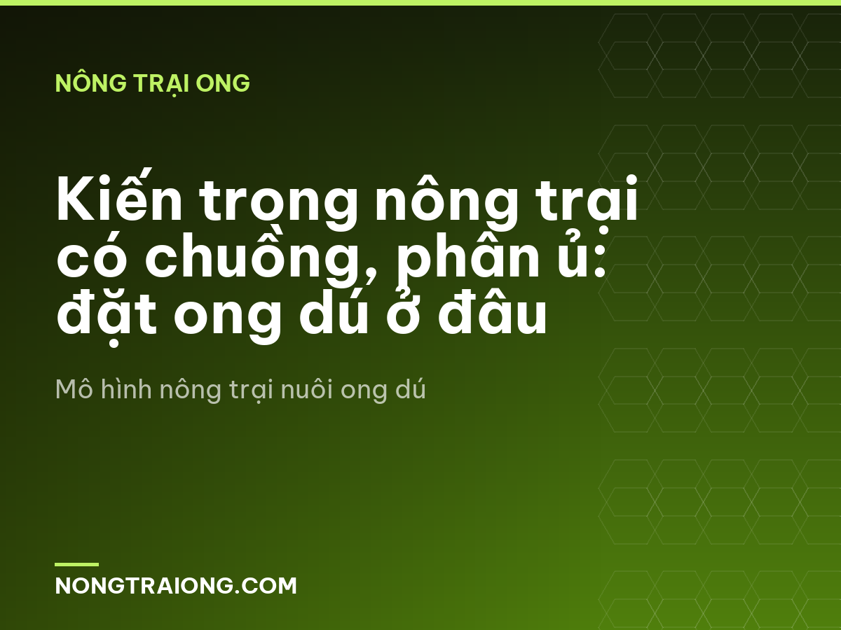 Kiến trong nông trại có chuồng, phân ủ: đặt ong dú ở đâu