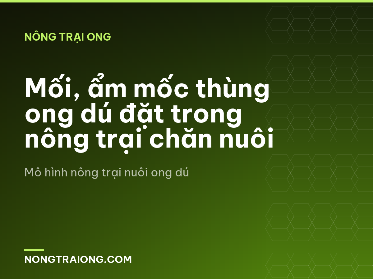 Mối, ẩm mốc thùng ong dú đặt trong nông trại chăn nuôi