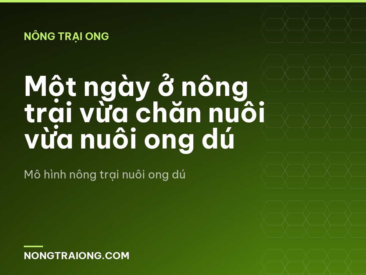 Một ngày ở nông trại vừa chăn nuôi vừa nuôi ong dú