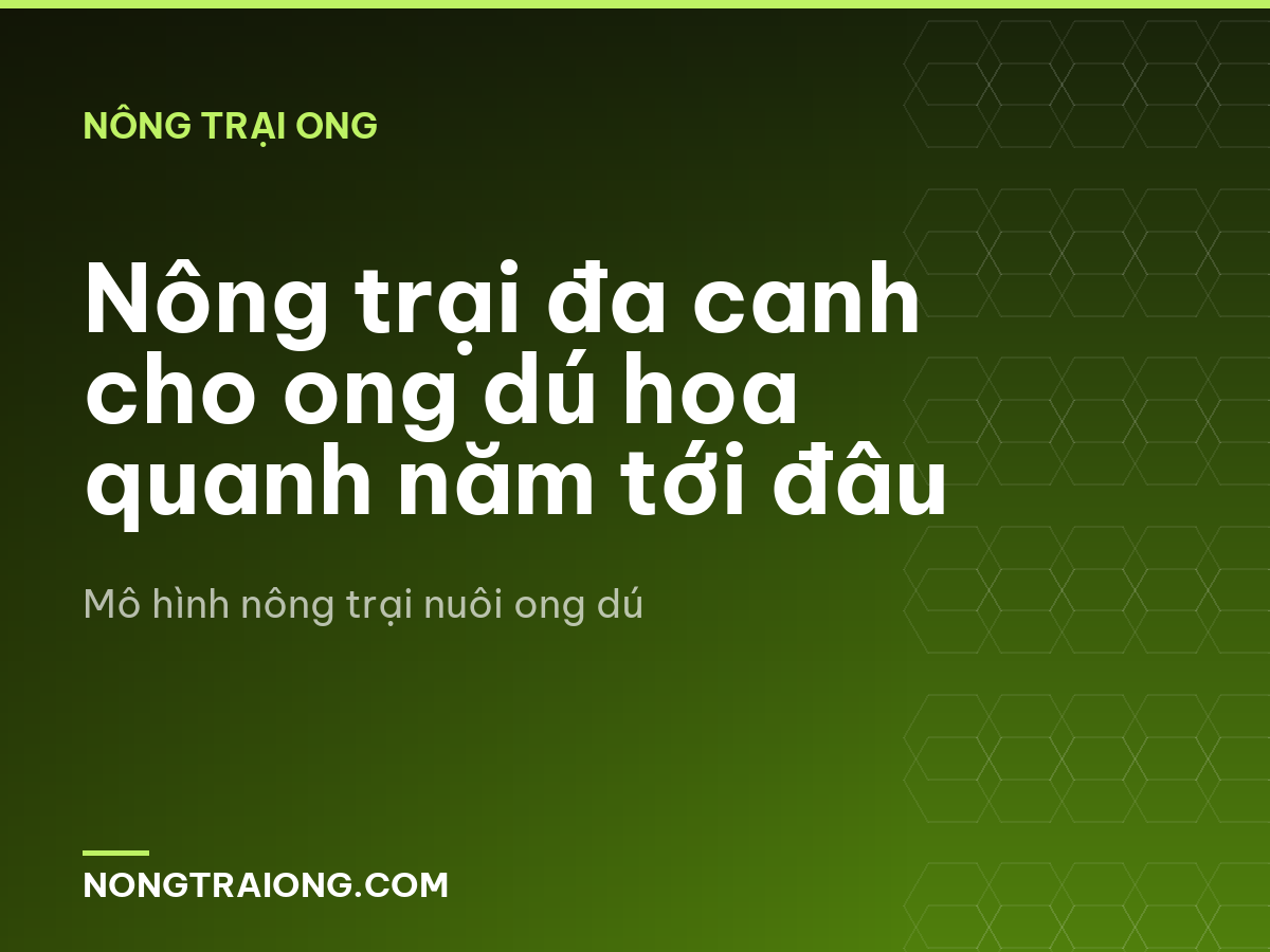 Nông trại đa canh cho ong dú hoa quanh năm tới đâu