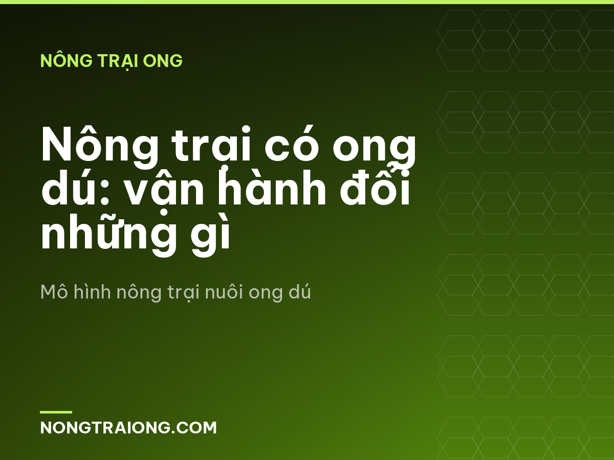 Nông trại có ong dú: vận hành đổi những gì