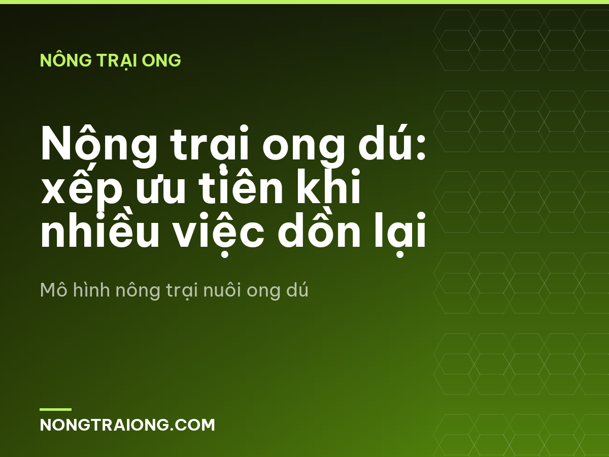 Nông trại ong dú: xếp ưu tiên khi nhiều việc dồn lại