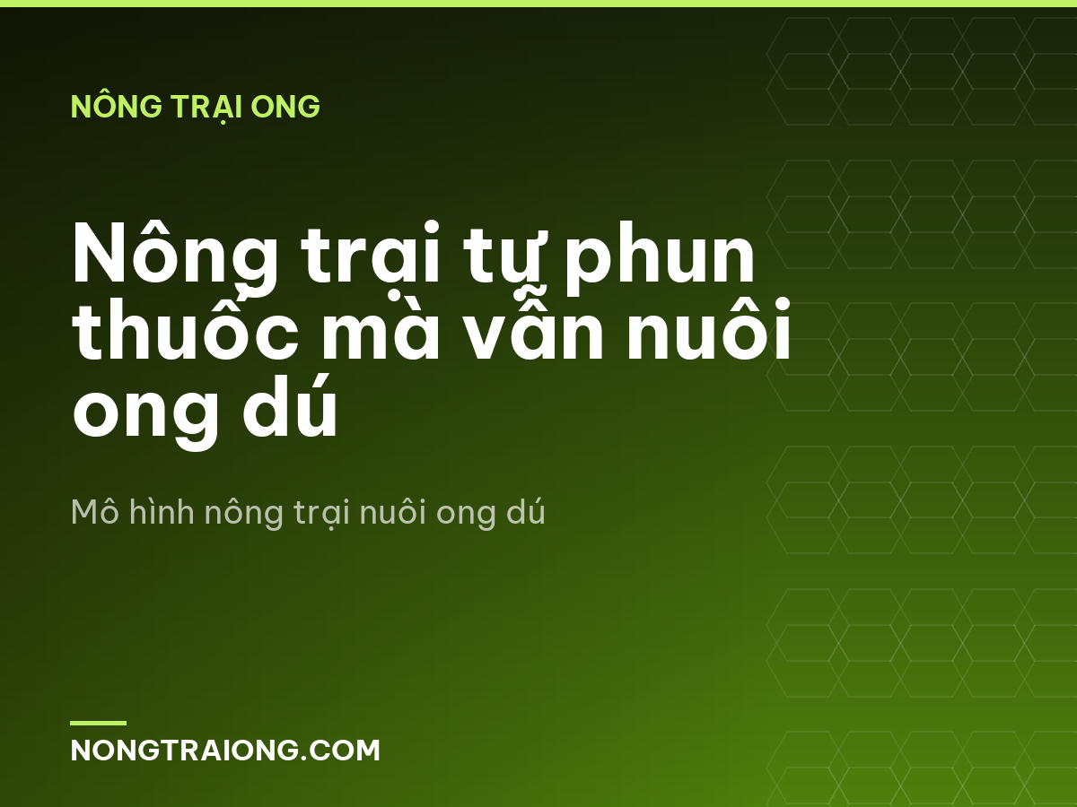 Nông trại tự phun thuốc mà vẫn nuôi ong dú