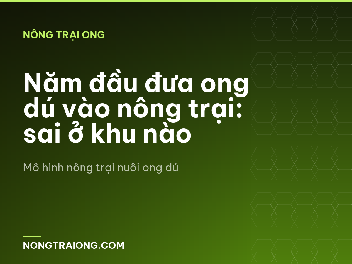 Năm đầu đưa ong dú vào nông trại: sai ở khu nào
