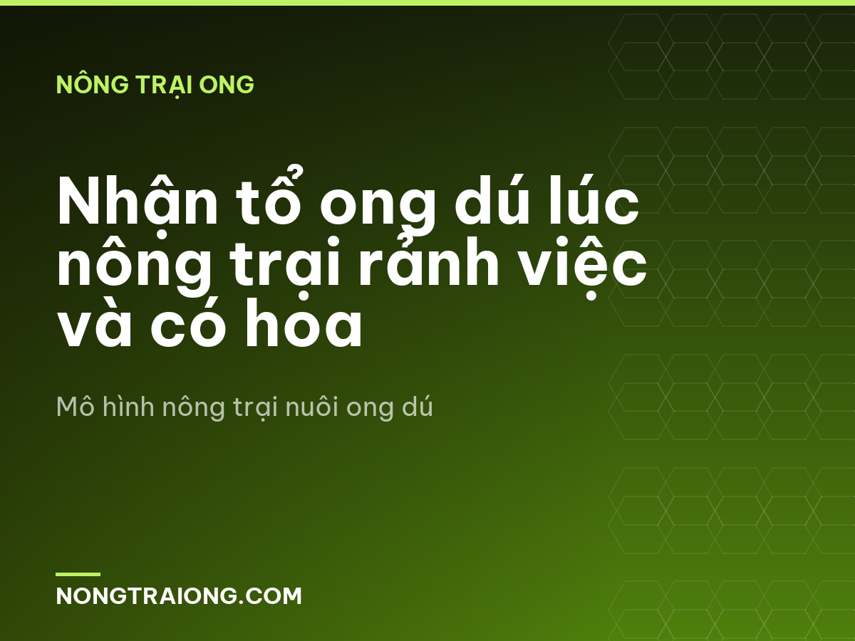 Nhận tổ ong dú lúc nông trại rảnh việc và có hoa