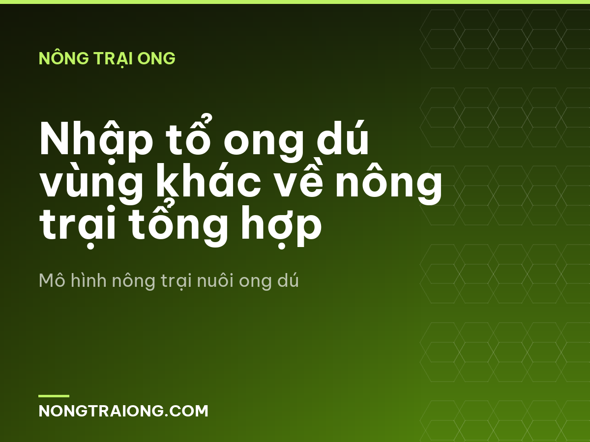 Nhập tổ ong dú vùng khác về nông trại tổng hợp