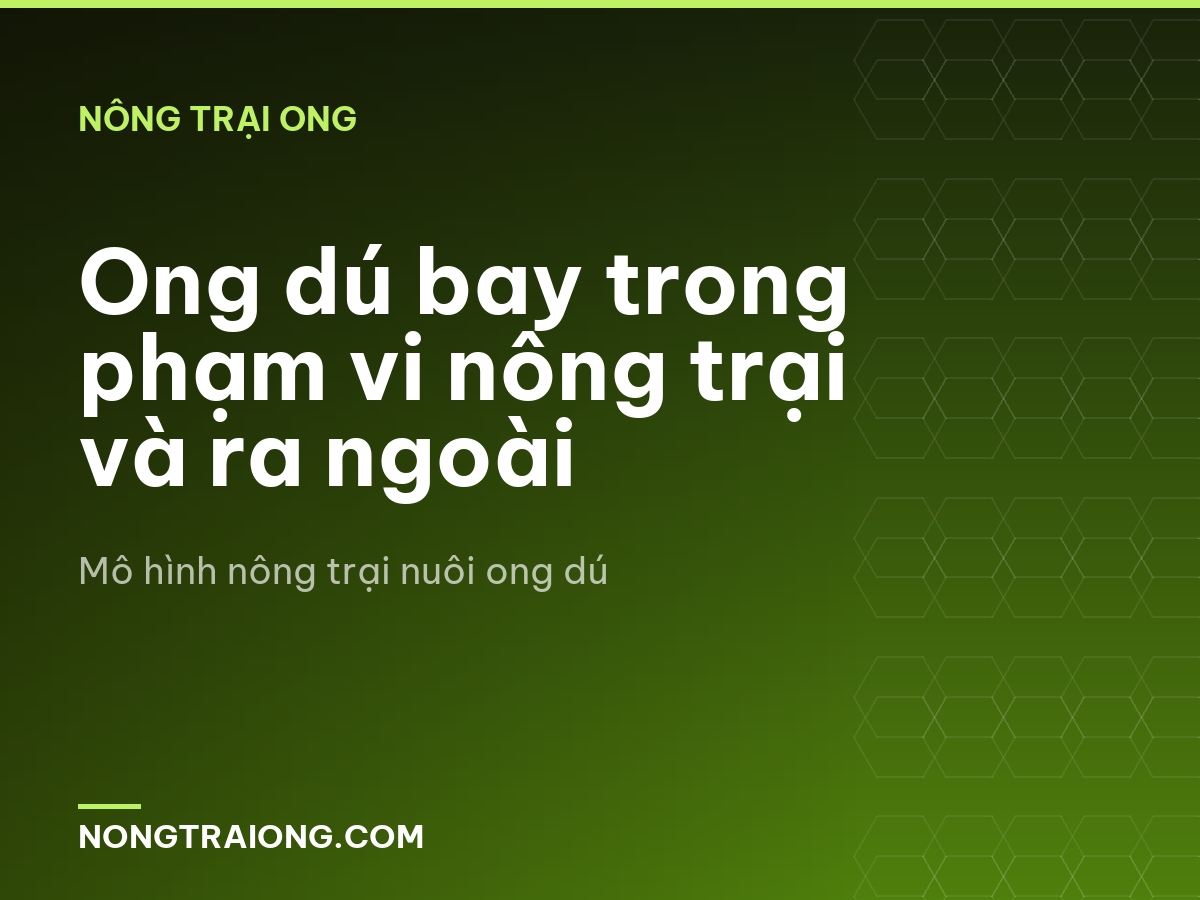 Ong dú bay trong phạm vi nông trại và ra ngoài