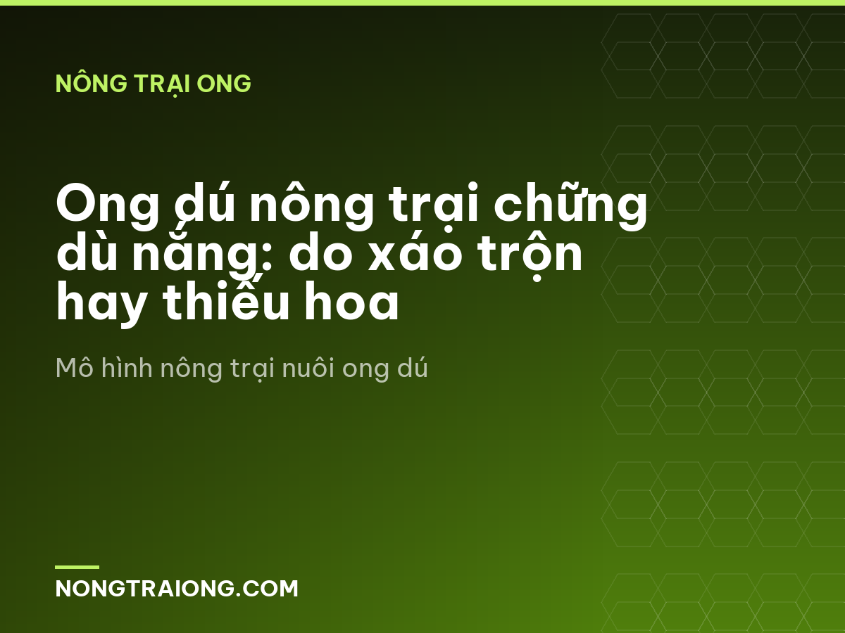 Ong dú nông trại chững dù nắng: do xáo trộn hay thiếu hoa