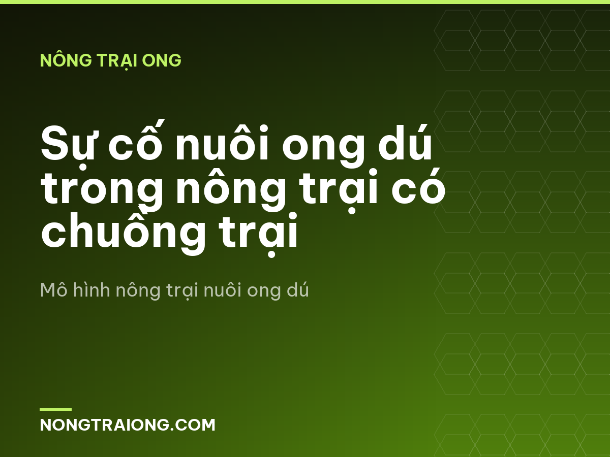 Sự cố nuôi ong dú trong nông trại có chuồng trại
