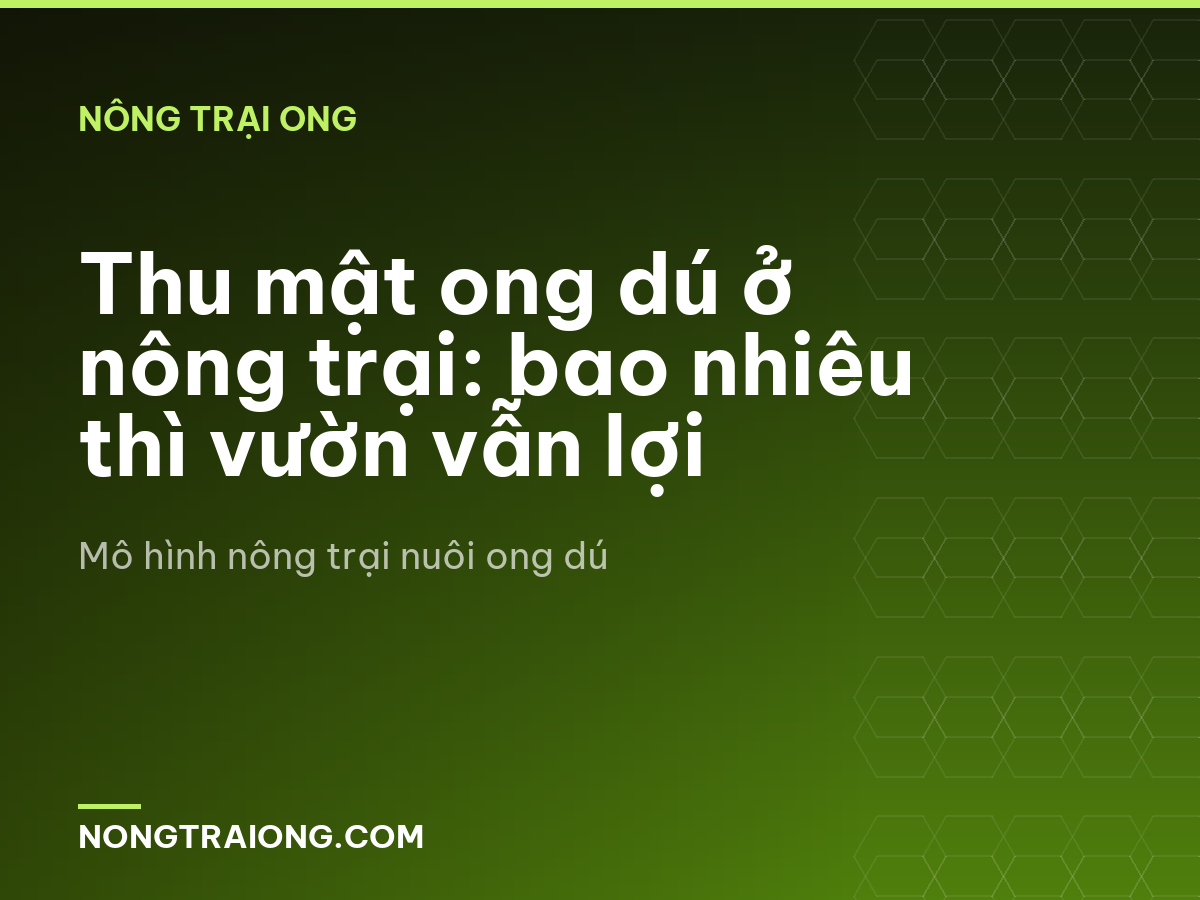 Thu mật ong dú ở nông trại: bao nhiêu thì vườn vẫn lợi