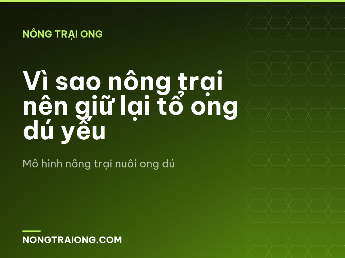 Vì sao nông trại nên giữ lại tổ ong dú yếu