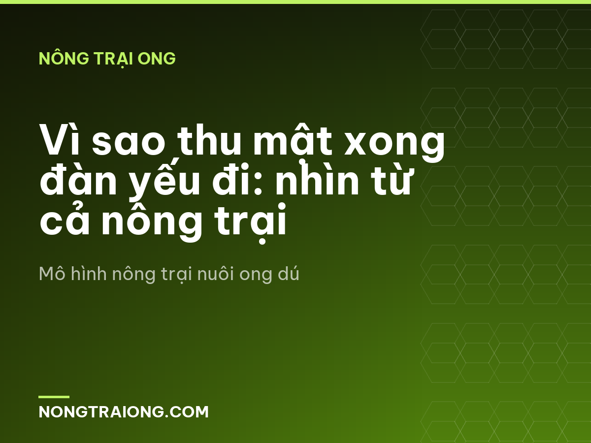 Vì sao thu mật xong đàn yếu đi: nhìn từ cả nông trại