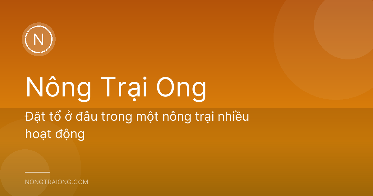 Đặt tổ ở đâu trong một nông trại nhiều hoạt động