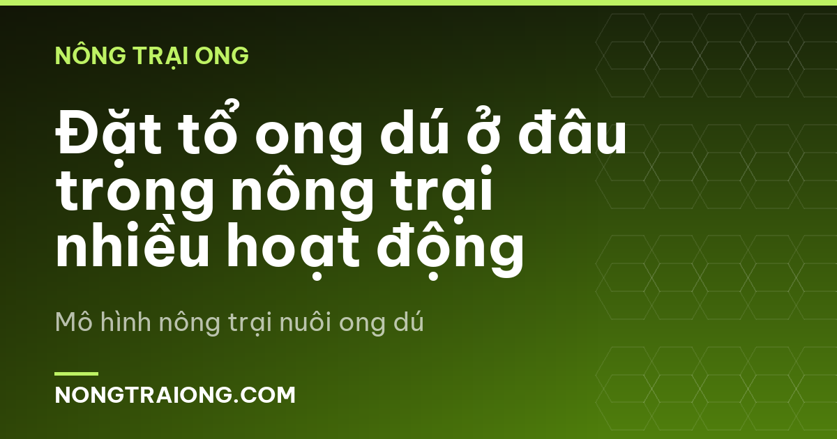 Đặt tổ ong dú ở đâu trong nông trại nhiều hoạt động