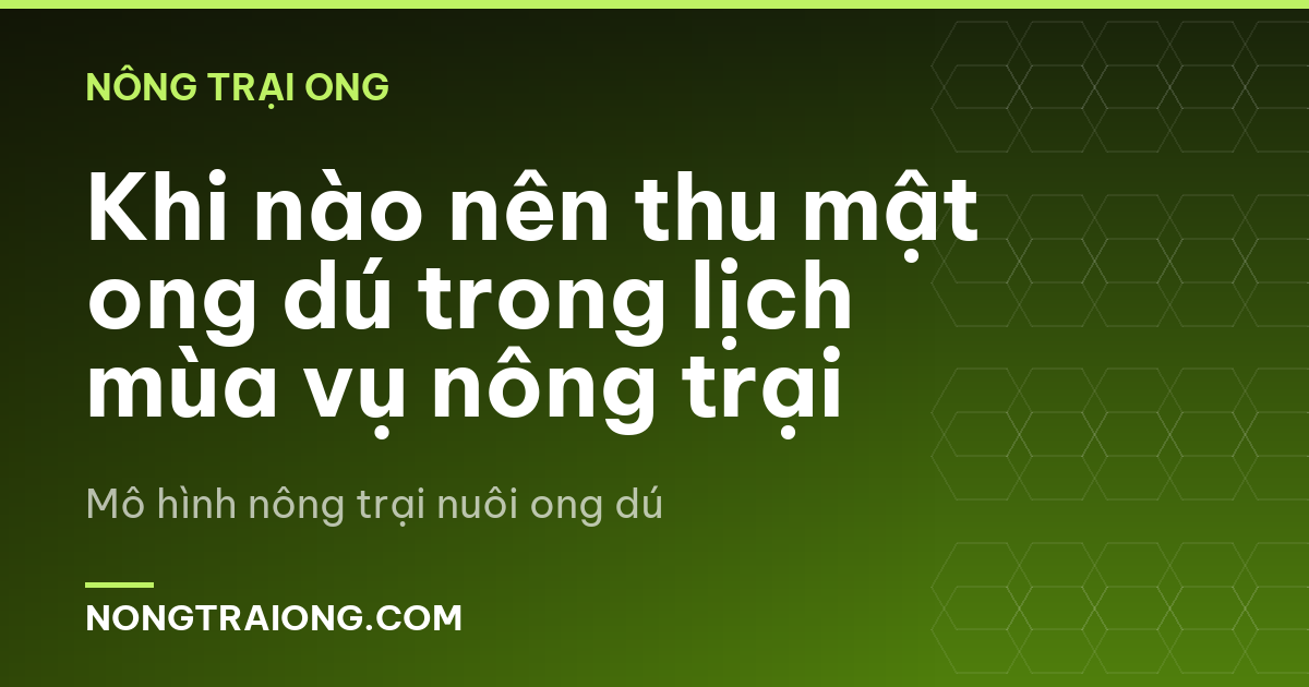 Khi nào nên thu mật ong dú trong lịch mùa vụ nông trại