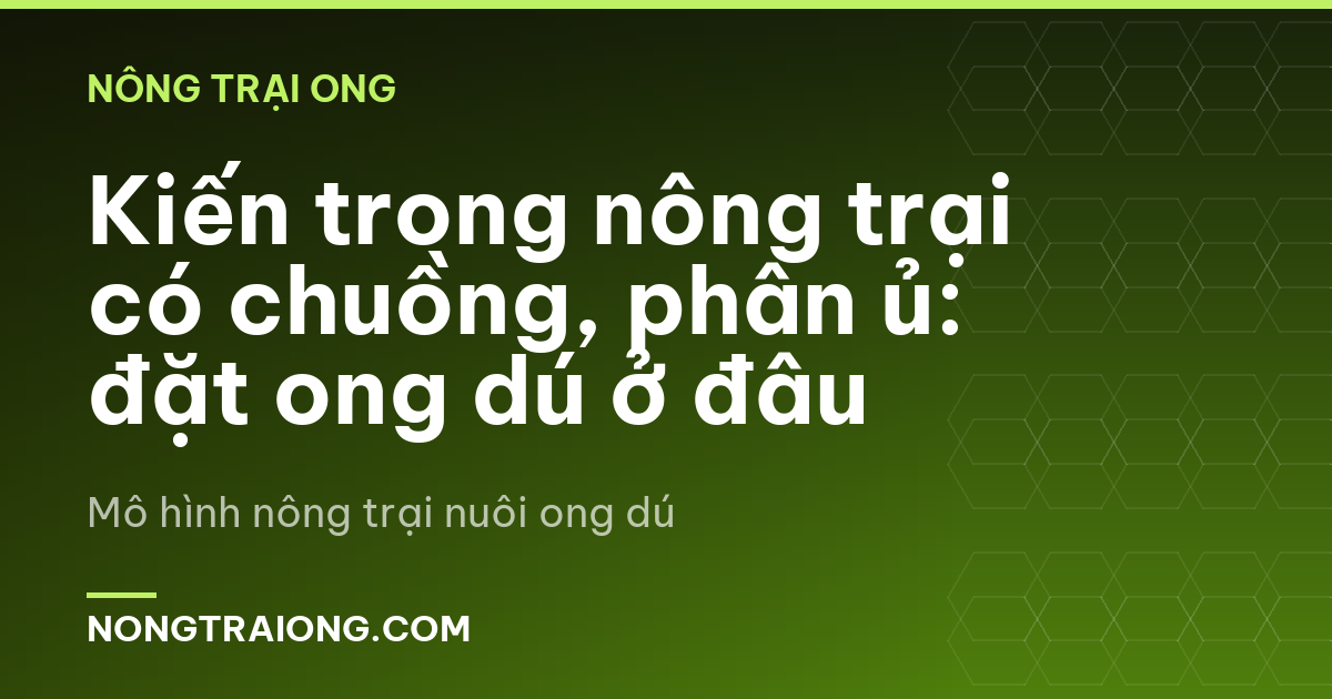 Kiến trong nông trại có chuồng, phân ủ: đặt ong dú ở đâu