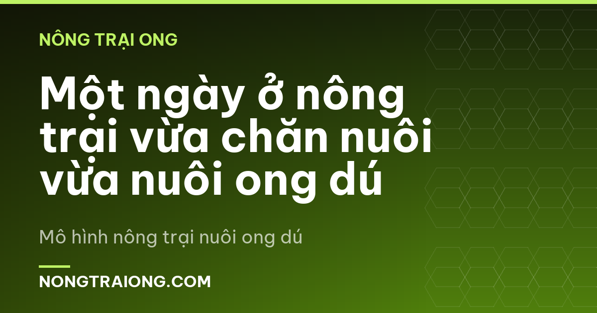 Một ngày ở nông trại vừa chăn nuôi vừa nuôi ong dú