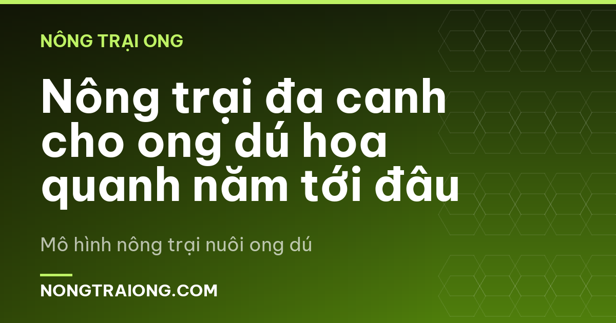 Nông trại đa canh cho ong dú hoa quanh năm tới đâu