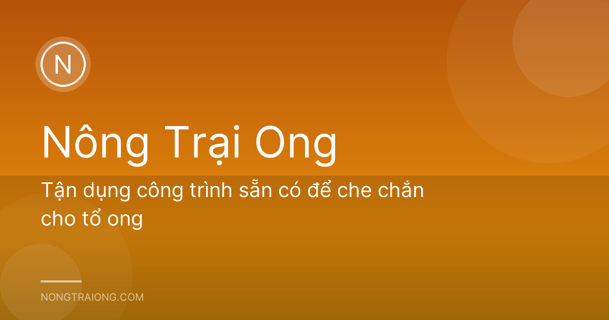 Tận dụng công trình sẵn có để che chắn cho tổ ong